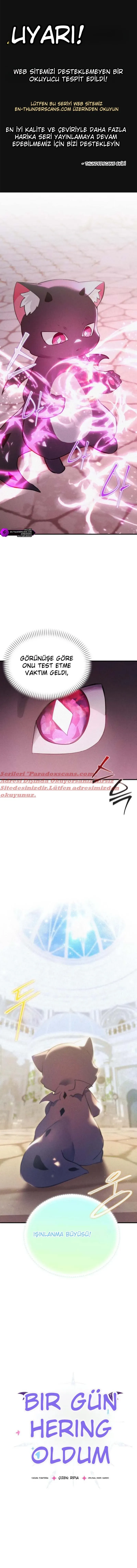 Sayfa 1