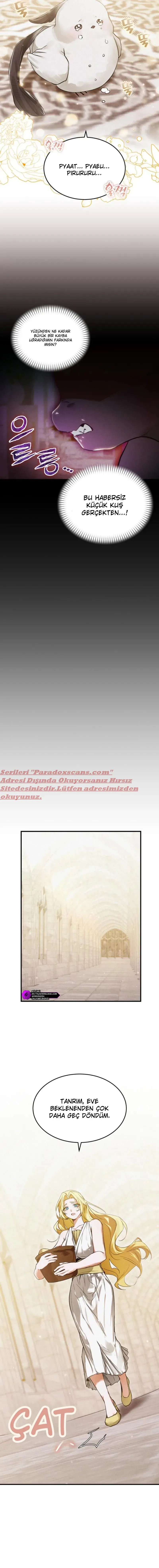 Sayfa 6