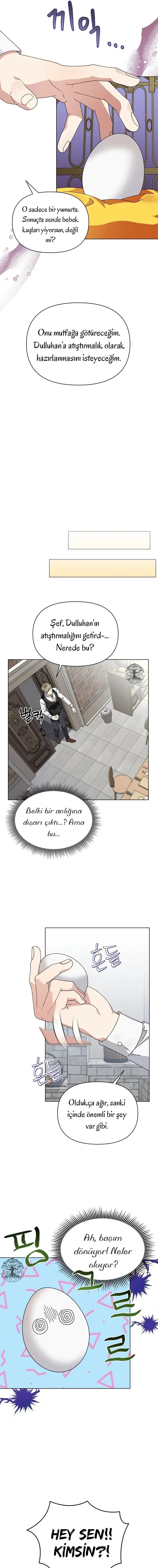 Sayfa 5