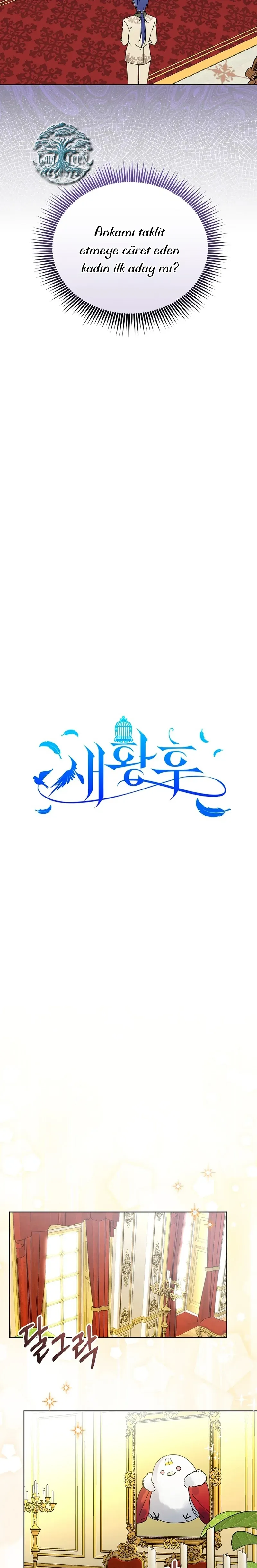 Sayfa 4