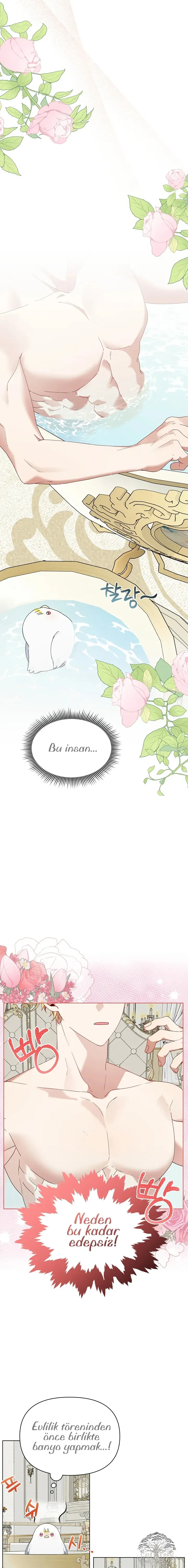 Sayfa 6