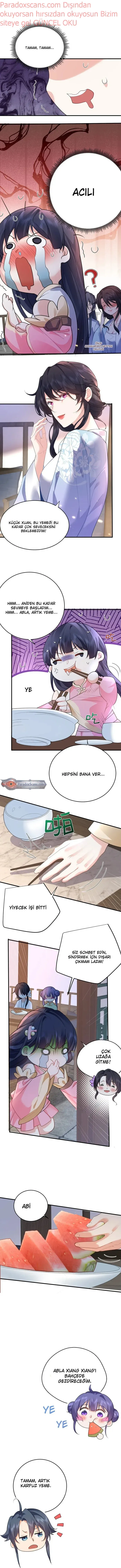 Sayfa 6
