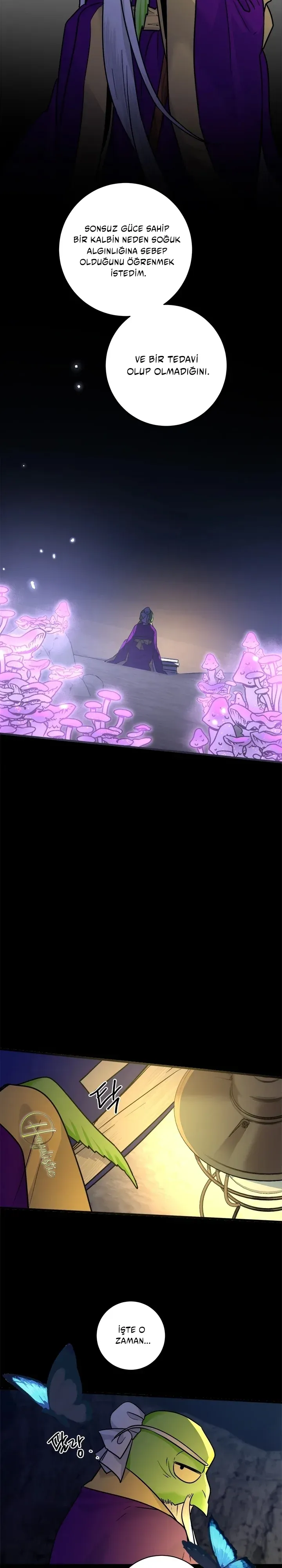 Sayfa 3