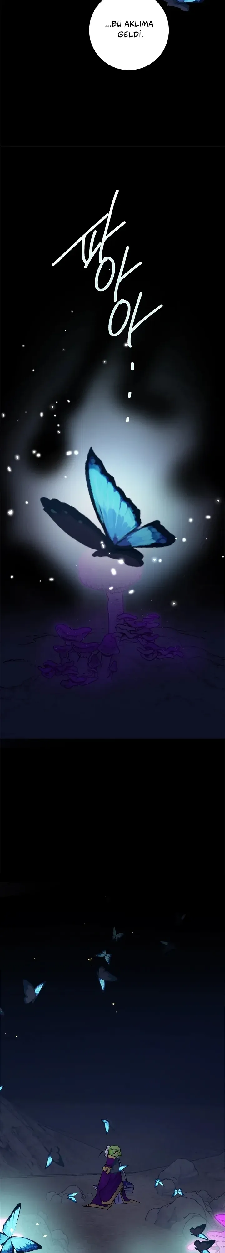 Sayfa 4