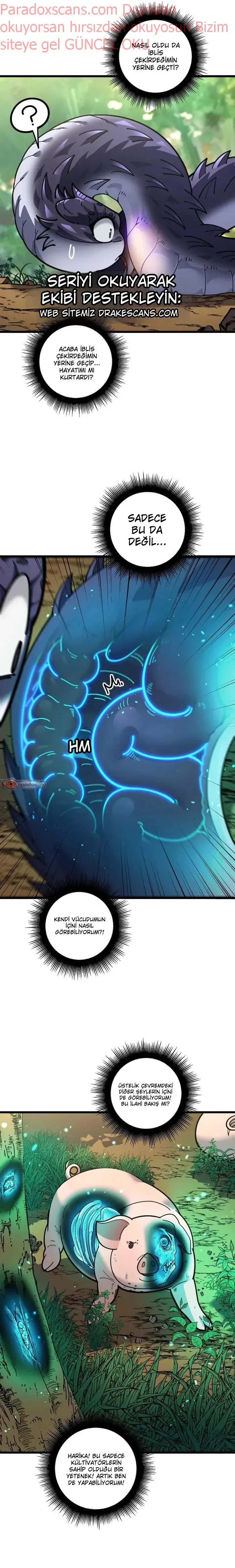 Sayfa 6