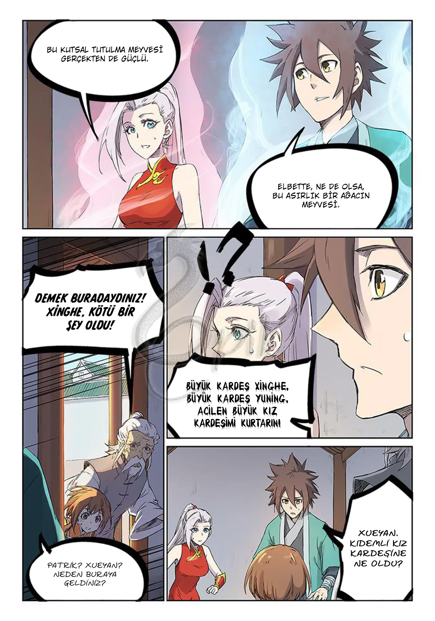 Sayfa 4