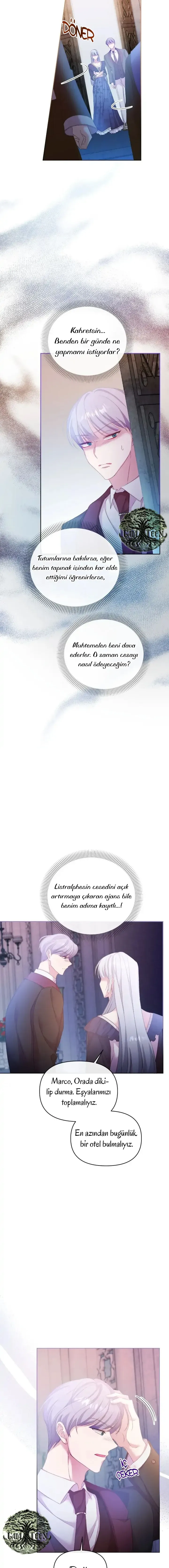 Sayfa 5