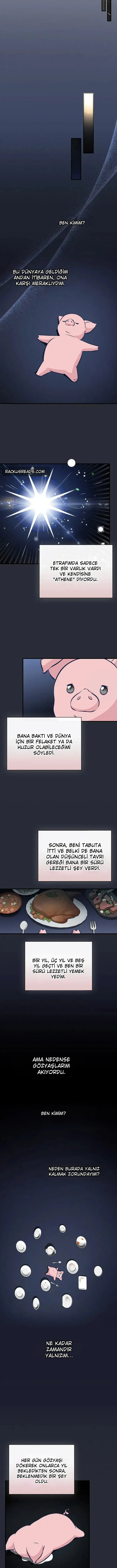 Sayfa 5