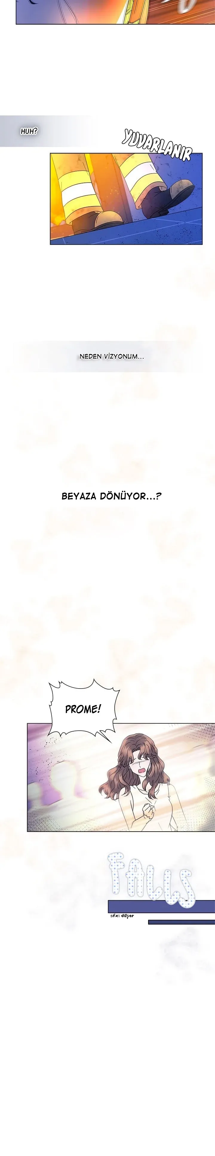 Sayfa 5