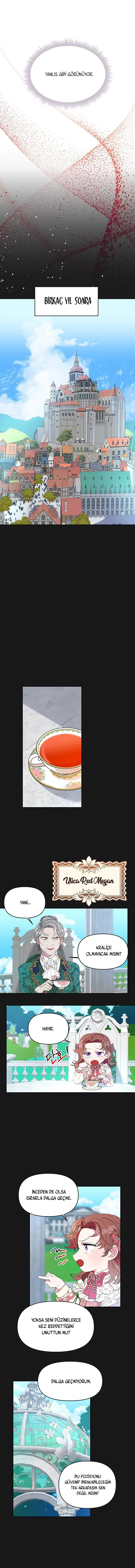Sayfa 6