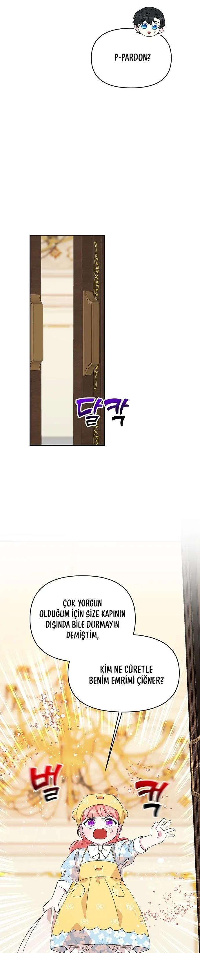 Sayfa 5