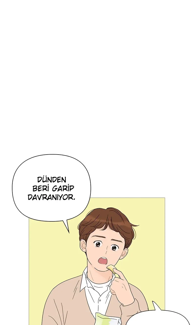Sayfa 2