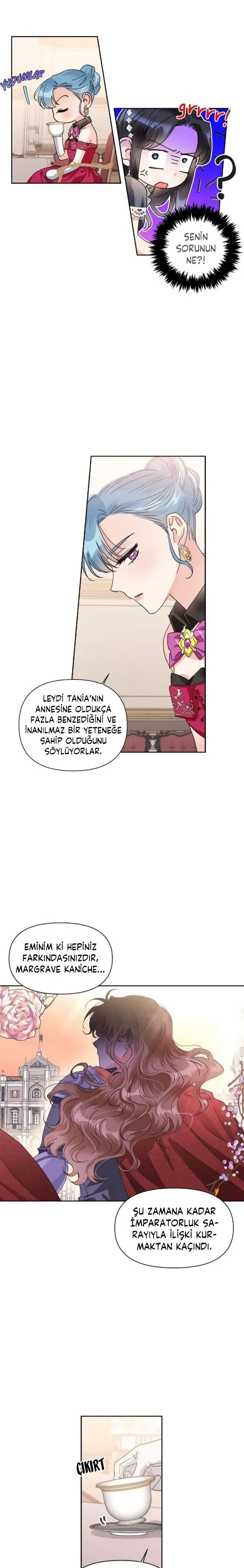 Sayfa 4
