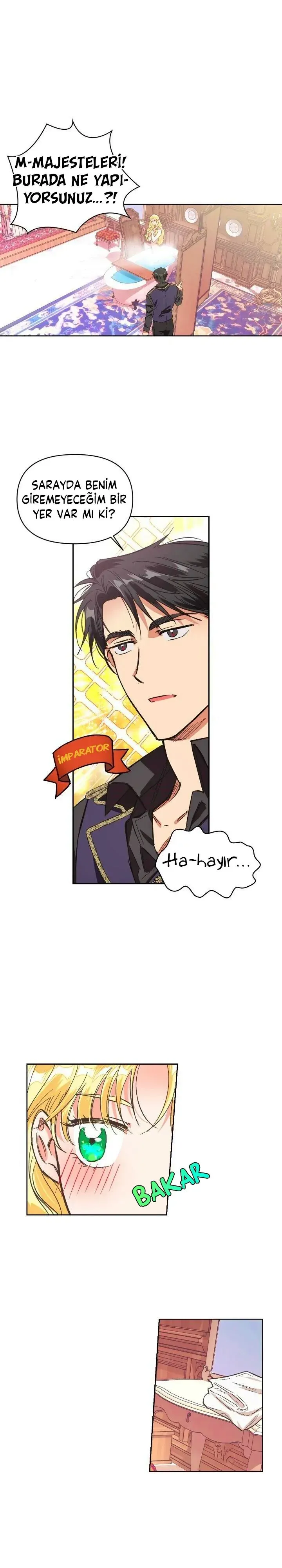 Sayfa 1