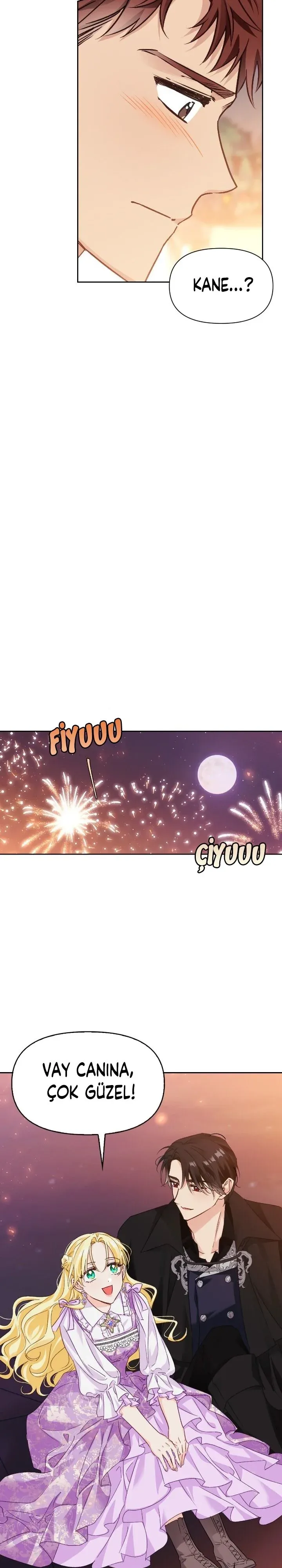 Sayfa 5