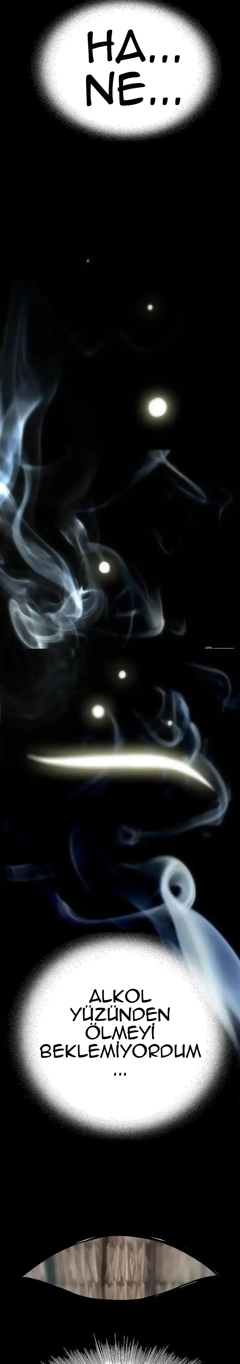 Sayfa 6