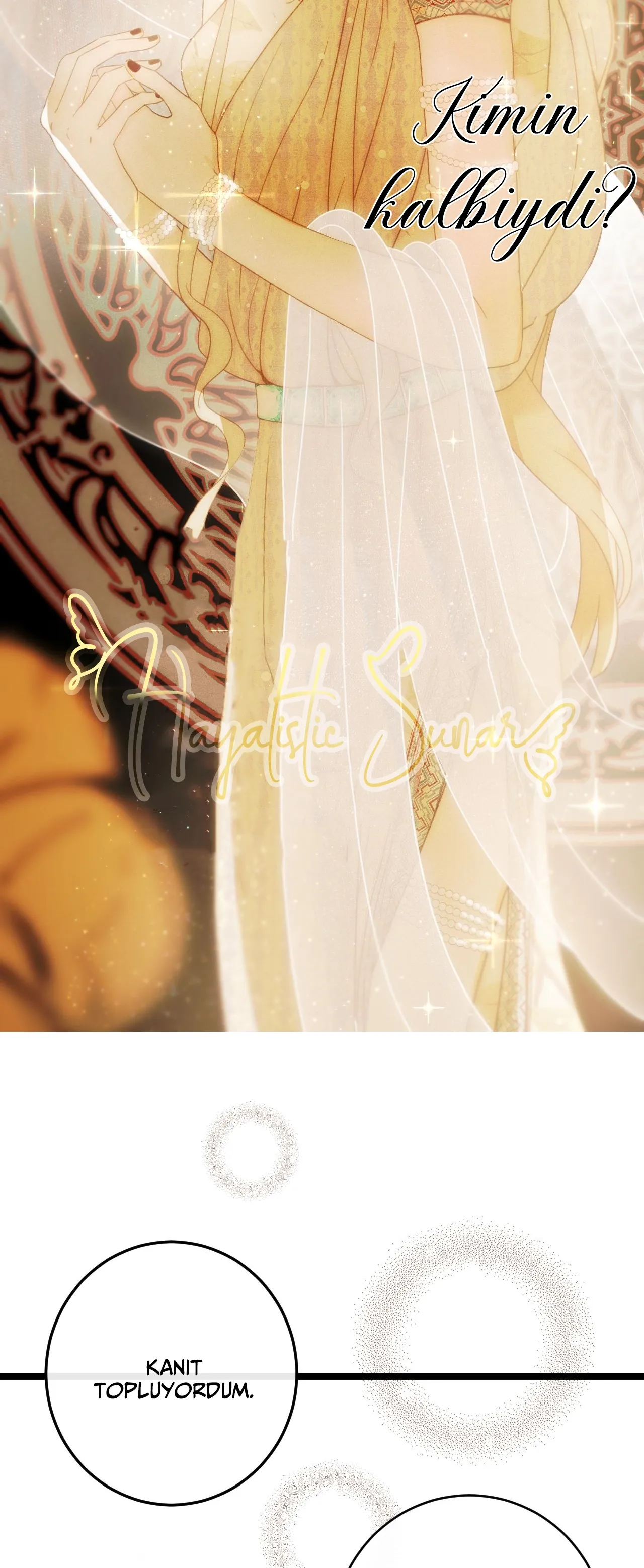 Sayfa 3