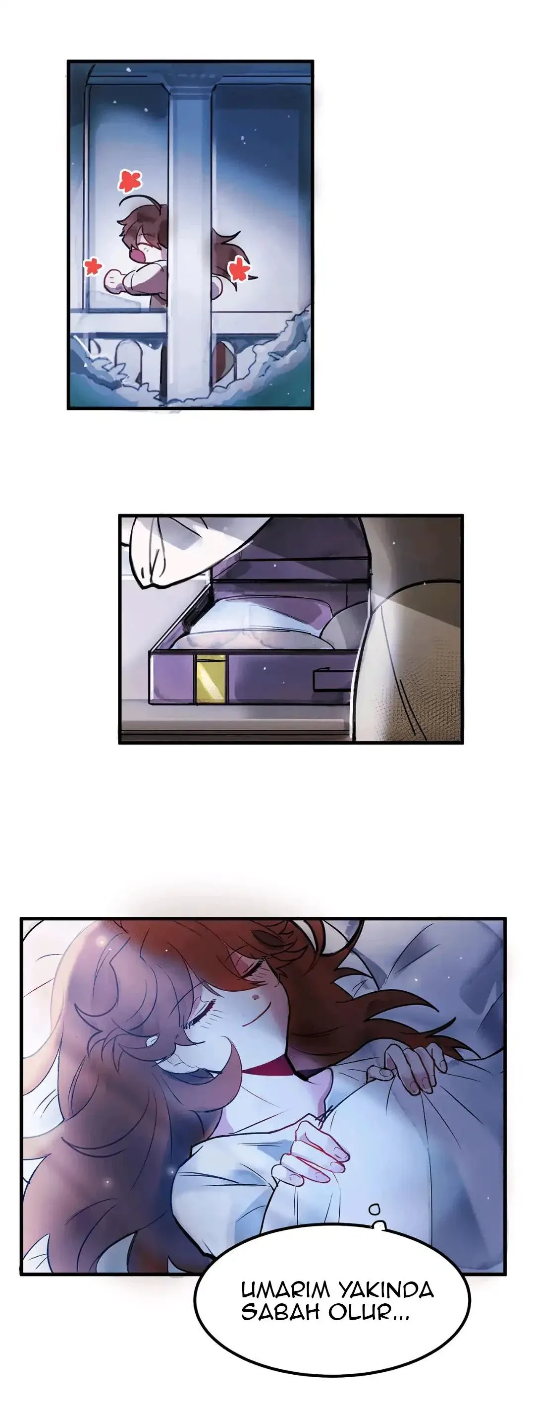 Sayfa 2